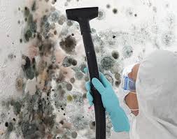 Why You Should Choose Our Mold Remediation Services in Baker City, OR